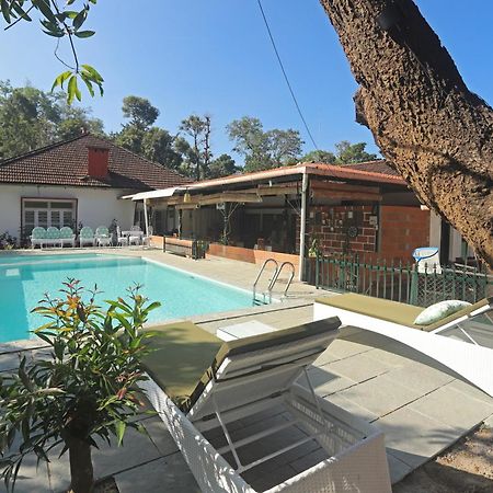 Devi Villa - Plantation Retreat And Forest Getaway Kutta Exteriér fotografie