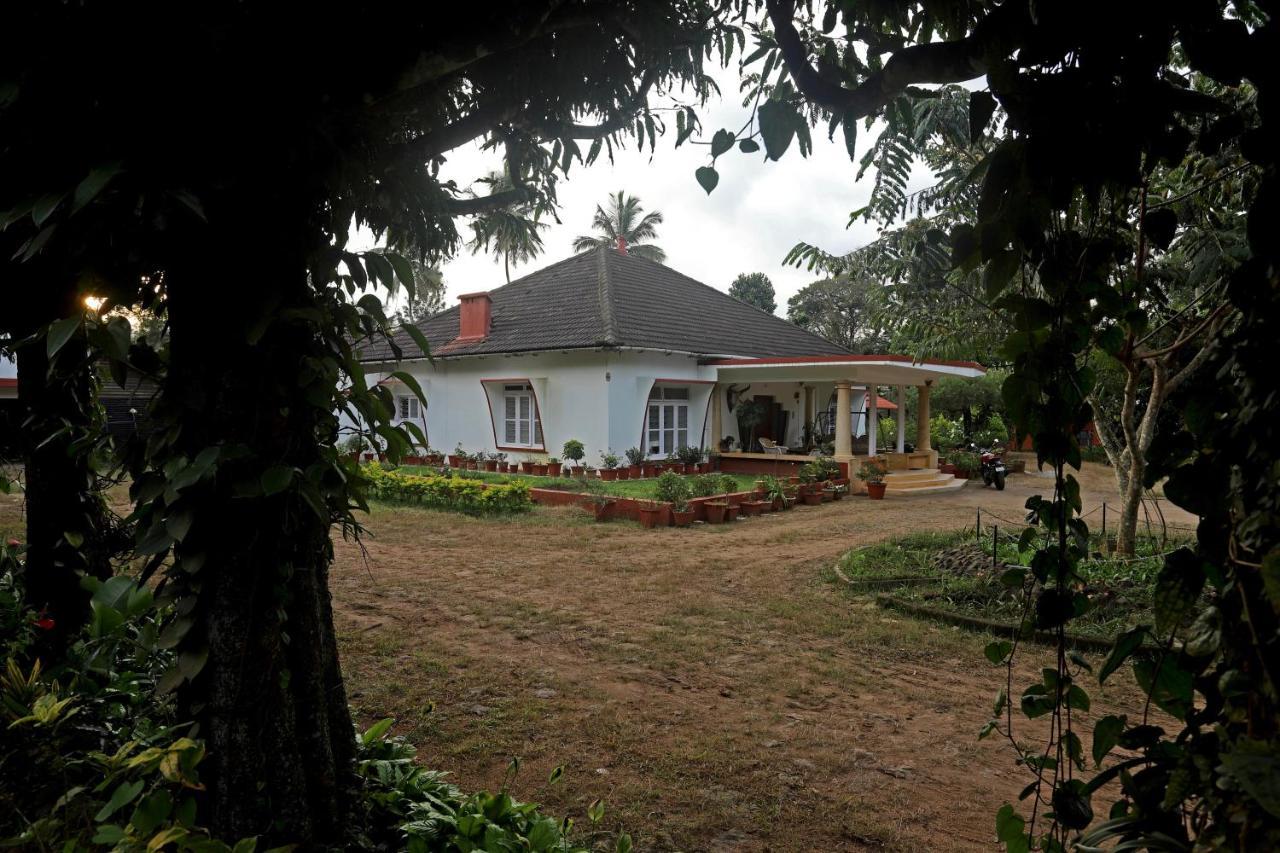 Devi Villa - Plantation Retreat And Forest Getaway Kutta Exteriér fotografie