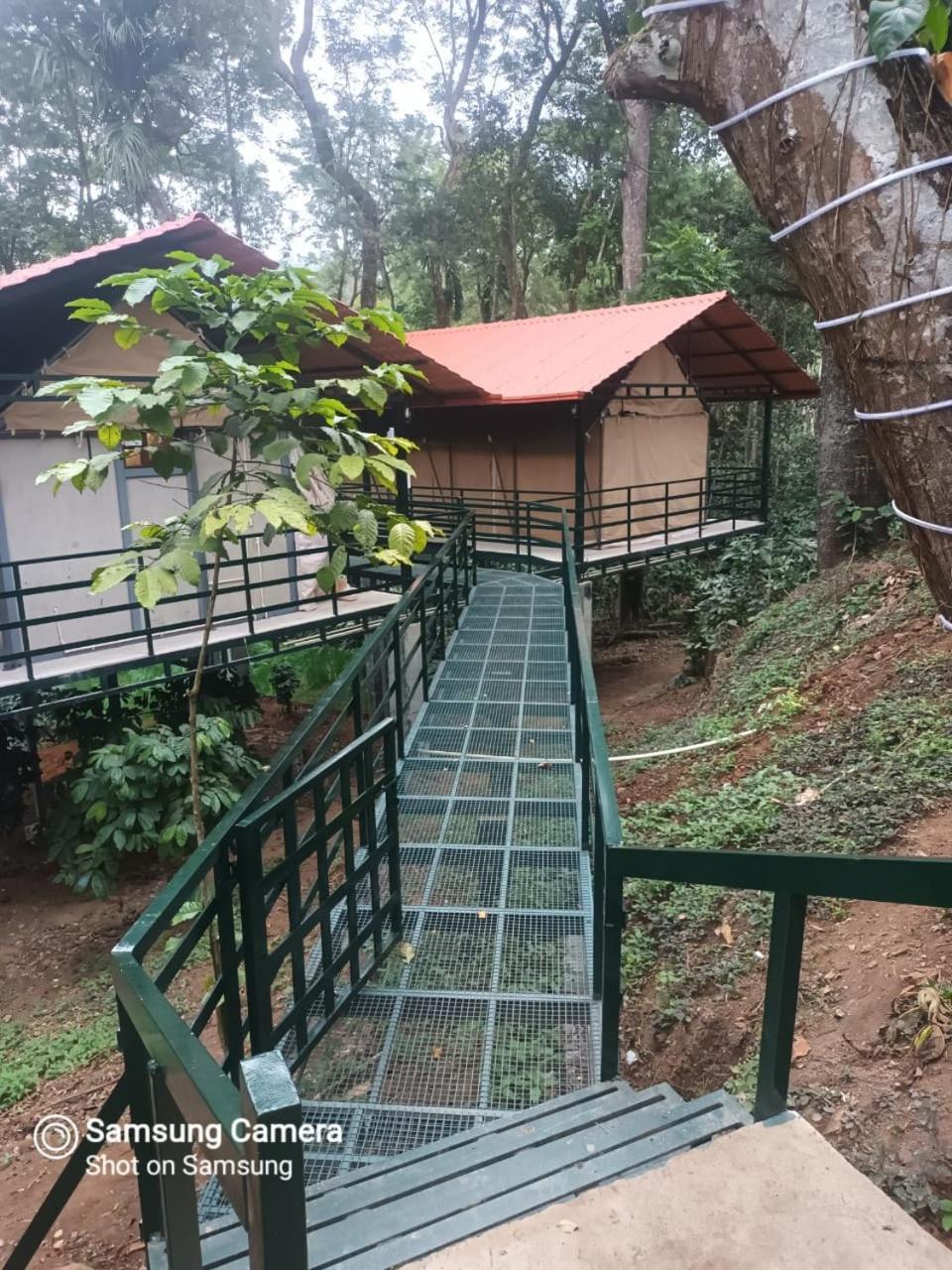 Devi Villa - Plantation Retreat And Forest Getaway Kutta Exteriér fotografie