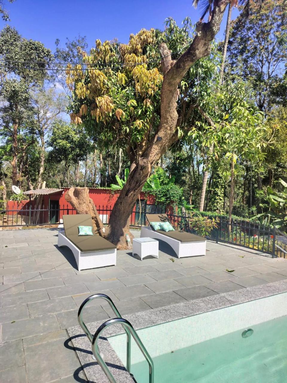 Devi Villa - Plantation Retreat And Forest Getaway Kutta Exteriér fotografie